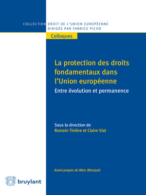 cover image of Protection des droits fondamentaux dans l'union Européenne